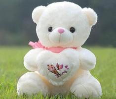 Cute Teddy Bear wallpaper Cartaz