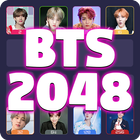 BTS 2048 ikona