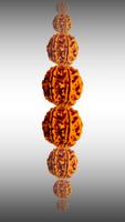Japa Mala ภาพหน้าจอ 3