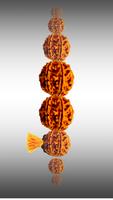 Japa Mala โปสเตอร์