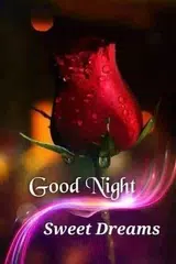 Baixar Good Night Images GIF APK