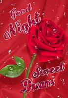 Good Night Images plakat