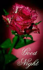 Baixar Good Night Images GIF APK
