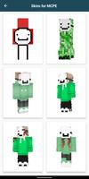Poster Dream Skins for Minecraft PE