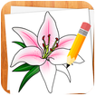 ”How to Draw Flowers