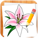 Wie Blumen zeichnen APK