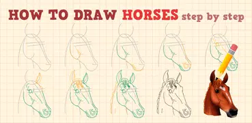 Come Disegnare Cavalli