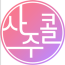 사주콜 - 신점, 타로, 사주전문 APK
