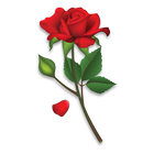 Roses Stickers icon