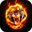 Fire Wallpaper 2024 圖標
