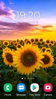 Sunflower Wallpaper 截图 3