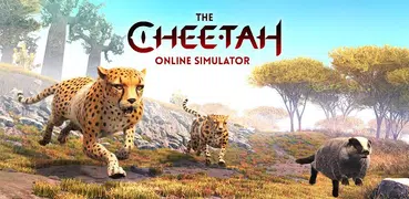 The Cheetah