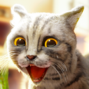 Cat Simulator 2 APK