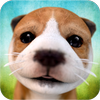 Dog Simulator Mod apk son sürüm ücretsiz indir