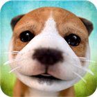 Dog Simulator أيقونة