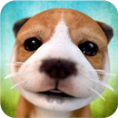 Dog Simulator APK