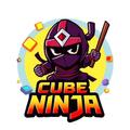 Cube Ninja