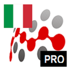 ITALIAN IRREGULAR VERBS PRO CO icône