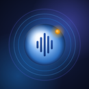 Money Voice: Voice Expense APK