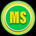 MS Tunnel VIP