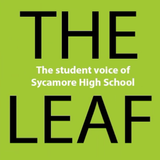Sycamore Leaf icône