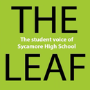 Sycamore Leaf APK