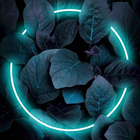 Neon Wallpaper UHD icon