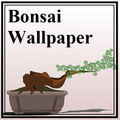 Bonsai Wallpaper