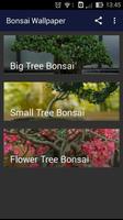 Bonsai Wallpaper plakat