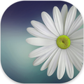 Gallery Lite - No Ads