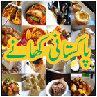 Pakistani Food Recipes in Urdu icône
