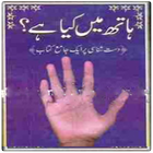 Palmistry in Urdu icon