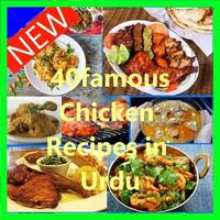 Chicken Recipes In Urdu Affiche