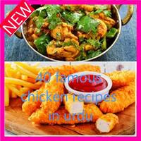 Chicken Recipes In Urdu capture d'écran 1
