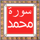 Surah Muhammad APK