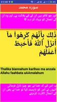 Surah Muhammad 스크린샷 3