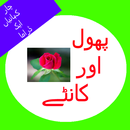 APK phool hor kanty 3story one Nov