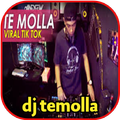 dj te molla