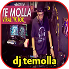 dj te molla أيقونة