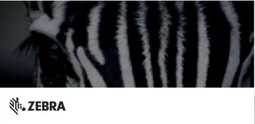 Force Rotation