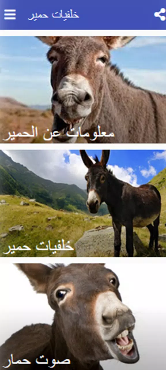 Descarga de APK de Fondos de pantalla de burros para Android Descarga de APK de Fondos de pantalla de burros para Android