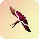 Sunbirds APK