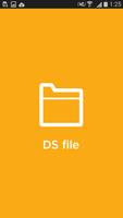 DS file โปสเตอร์