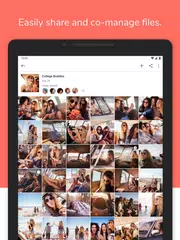 download Synology Photos XAPK