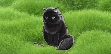 Cat The
