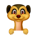 Meerkat or Suricate APK