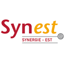 SYNEST Carnet APK