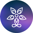 Sensorium - Synesthesia Medita APK