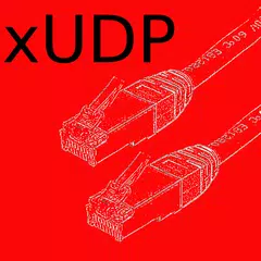 UDP Tester アプリダウンロード