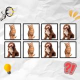 Say The Word On Beatt APK